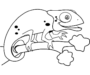 Dibujo de un camale&oacute;n